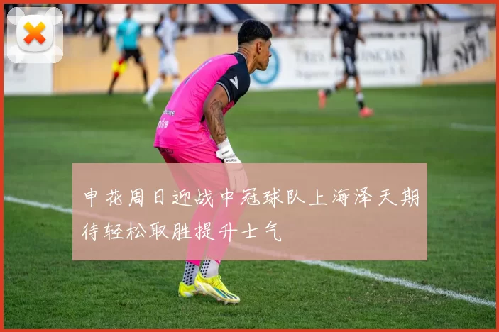 申花周日迎战中冠球队上海泽天期待轻松取胜提升士气